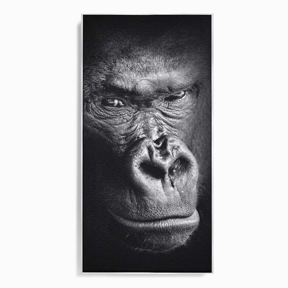 Tablou canvas cu tablou canvas cu portret de gorila, in rama de aluminiu argintiu